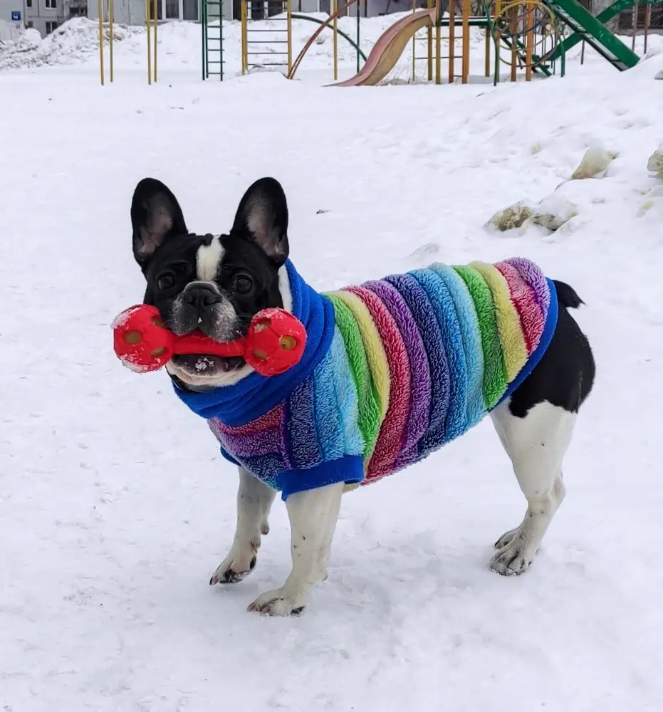 Клиент доволен! 
Игрушка в надёжных зубах 😁
Несли с пункта выдачи не расставаясь! 
Светится. 
Довольно таки весомая.