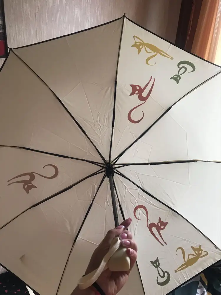 Супер зонтик , когда идёт дождик светлые коты перекрашиваются в другой оттенок , прочный и хороший купол 