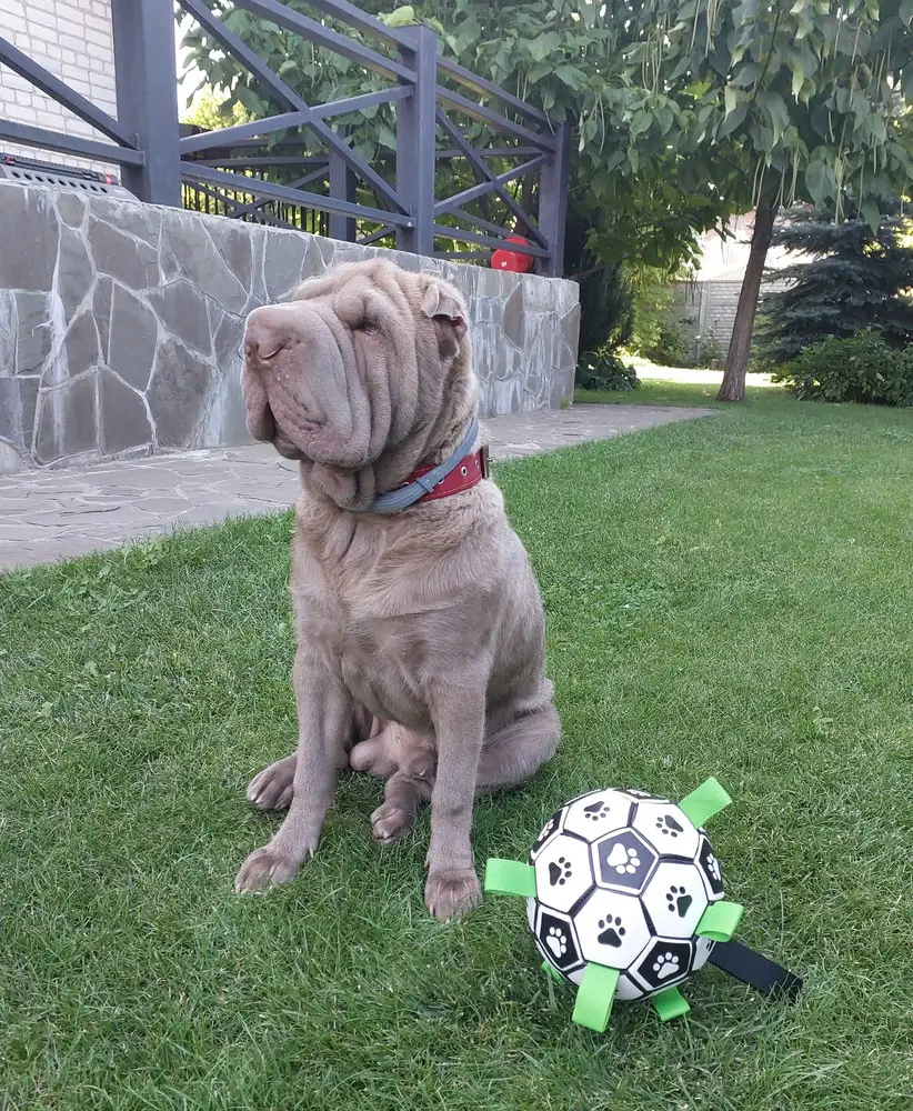 Понравился.  Играет. Пока не сломал (2 часа уже!)