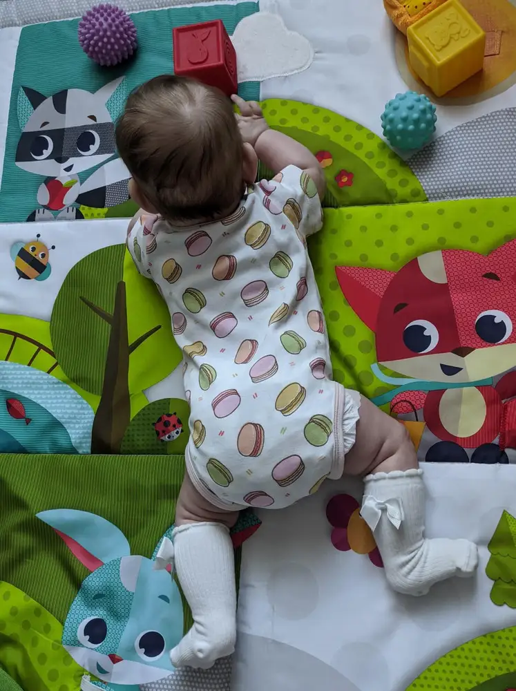 Красивый боди, нежные пастельные оттенки и милые пироженки. Ткань приятная, мягкая, немного тянется. Кнопки хорошо застегиваются и расстёгиваются. Горловина удобная, ничего не торчит. Качественная вещь, спасибо.