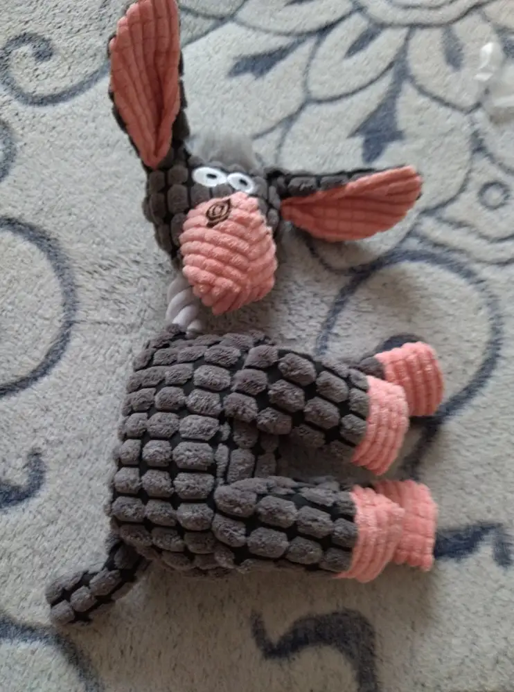 Соответствует описанию, запаха нет, пищит, мягкий, собакен довольный 👍