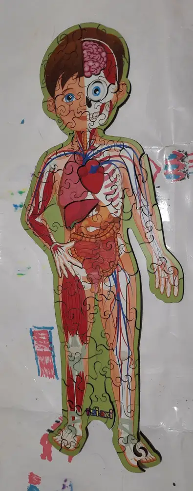 Ребёнку 6, почти без помощи собрала за вечер. Мелкая моторика + экскурс по телу человека, рекомендую. Качество огонь, привезли быстро