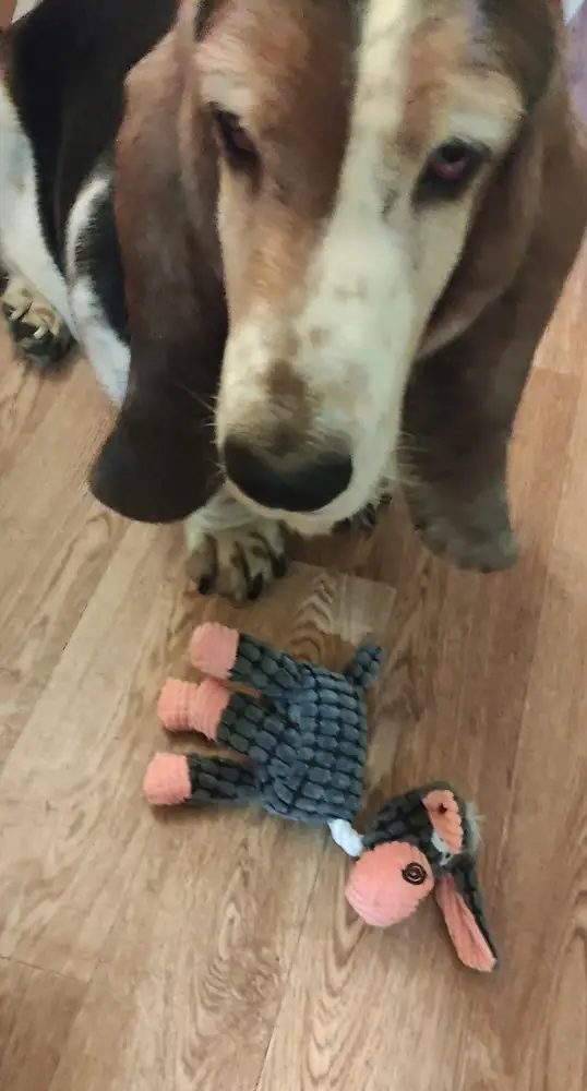 Милая игрушка