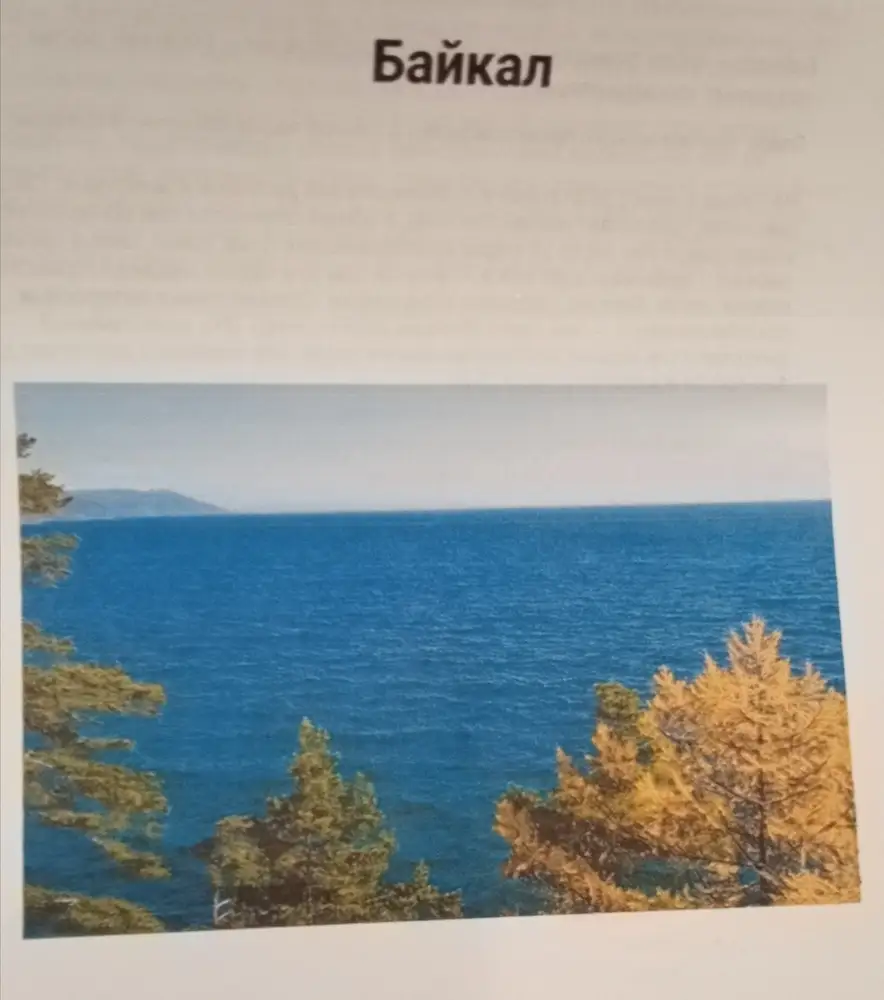 Катриджи запечатанные в пакете, в коробке. На мой Canon подошли, печатает ярко.