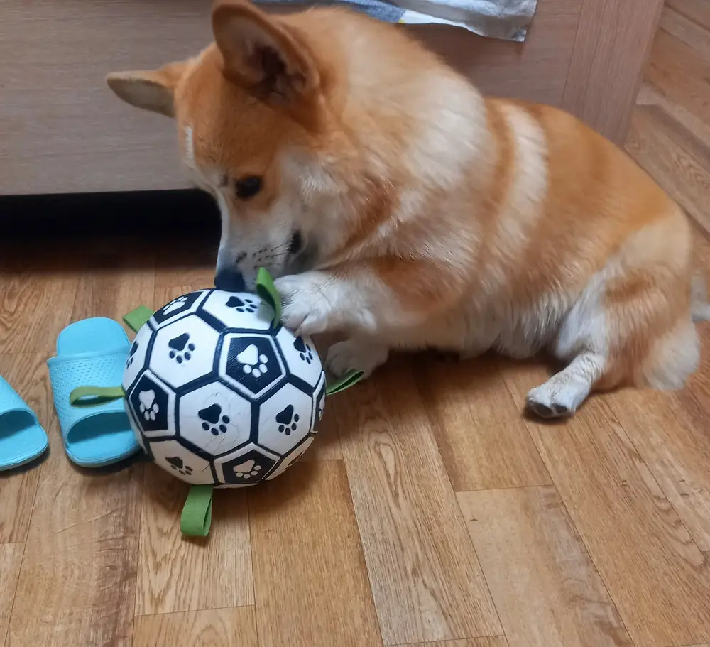 Отличный мяч👍прочный,думаю надолго хватит 
Ребёнку нравится ,все довольны🤩