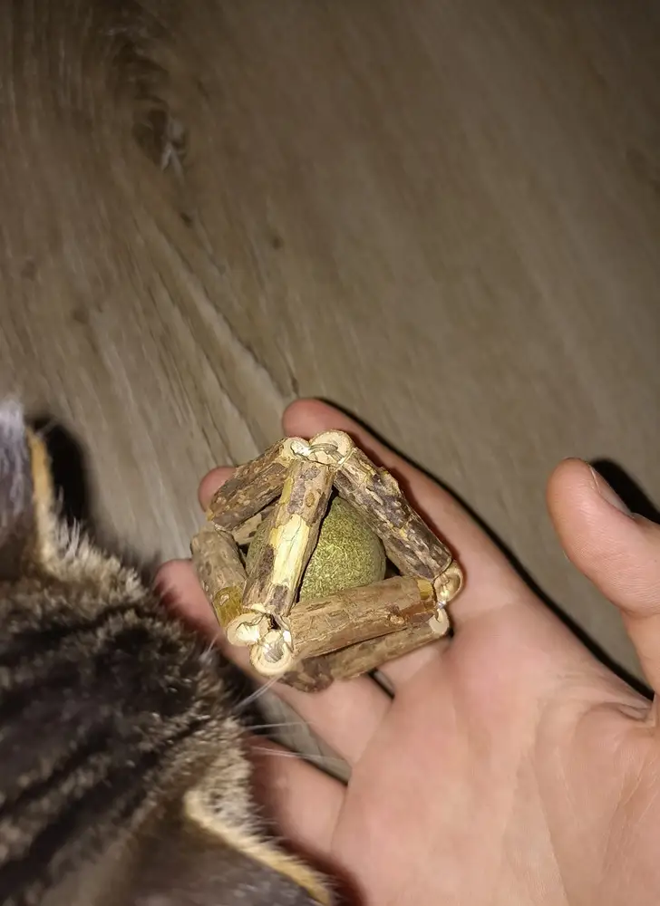 Коту вообще все ровно на саму дразнилку и пахнет не очень. За то с пакетом и пружинкой играет