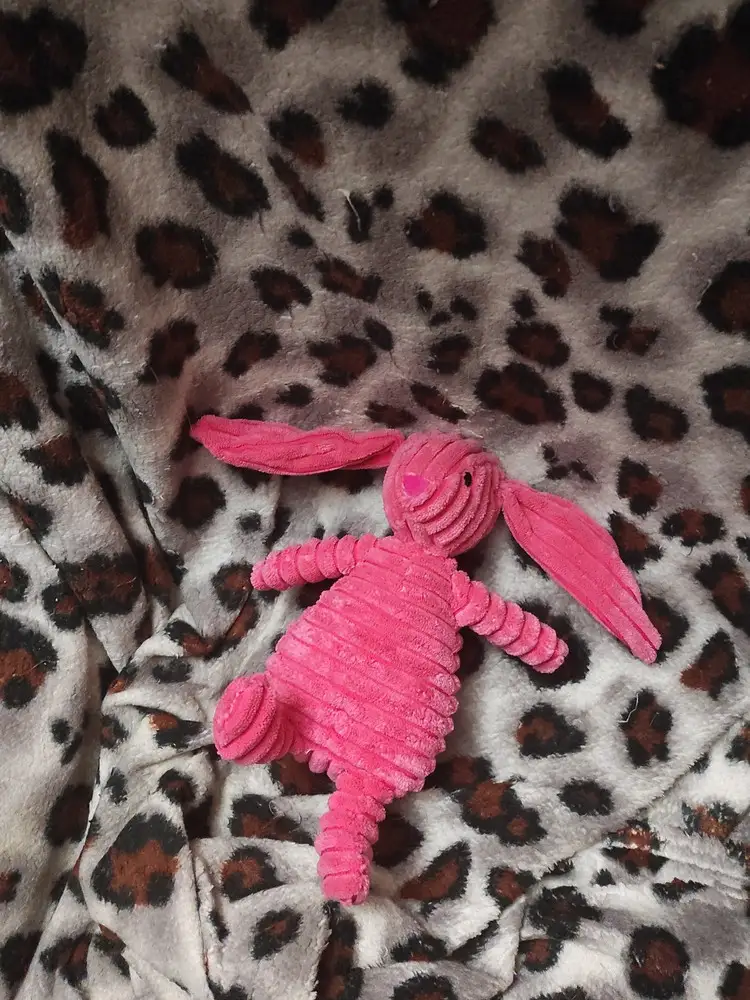 Кролик прикольный, но пищалка мелкая, еле нашла) а так всё отлично! Пёся играет