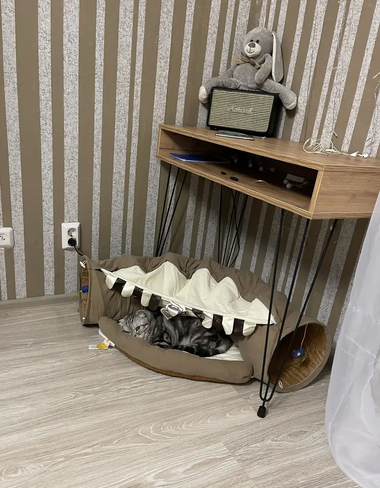 Качество 🔥Запаха неприятного нет.Котик в восторге.
