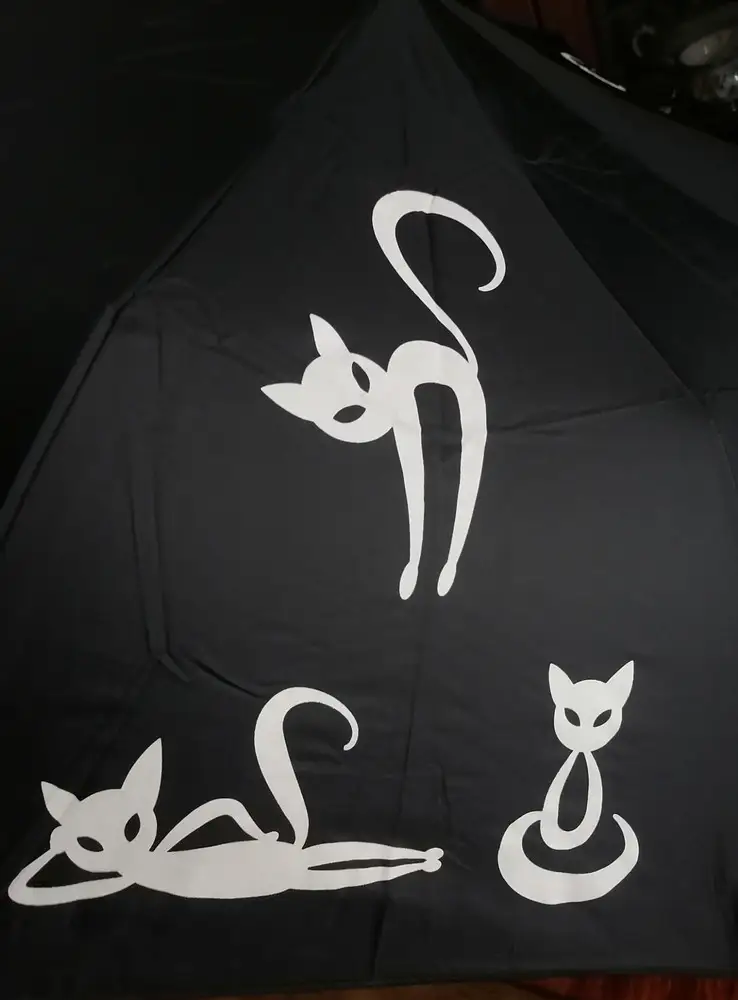 Звезда за то, что сам зонт работает и не сломан, но пришёл не с тем рисунком. Заказывала чёрный с небольшими белыми котиками, в итоге пришло нечто на весь зонт, меняющее цвет, в описании товара ни слова об этом.